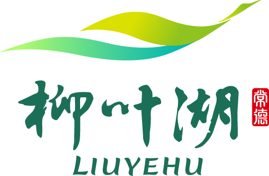 2025柳叶湖创投大会